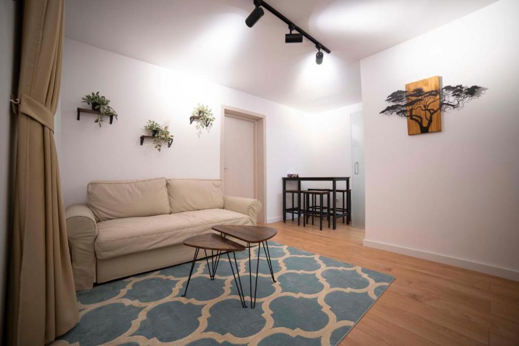 Coban Residence Apartments Брашов Екстериор снимка